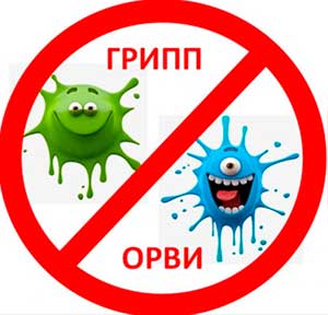 Профилактика гриппа и ОРВИ в осенний период в детском саду: системный подход и практические решения.