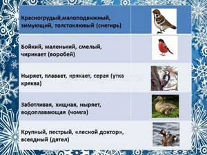 Конспект интегрированного занятия. Тема: «Перелетные птицы».