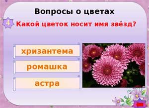 Игра-викторина для старших дошкольников «Что я знаю о цветах?»
