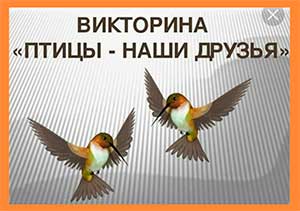 Викторина «Птицы – наши друзья»
