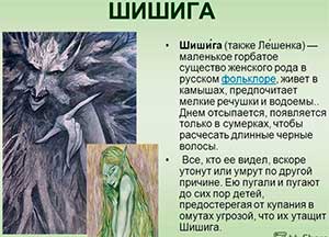 «Шишига» (Продолжение сказки «Мявка Юлька»)
