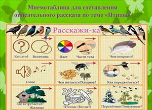 Конспект занятия по развитию речи в средней группе «Составление описательного рассказа о птицах»