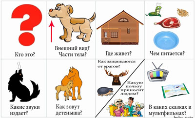 Конспект открытого занятия по развитию речи в средней группе: «Составление описания животных по картинке с использованием мнемотаблицы»