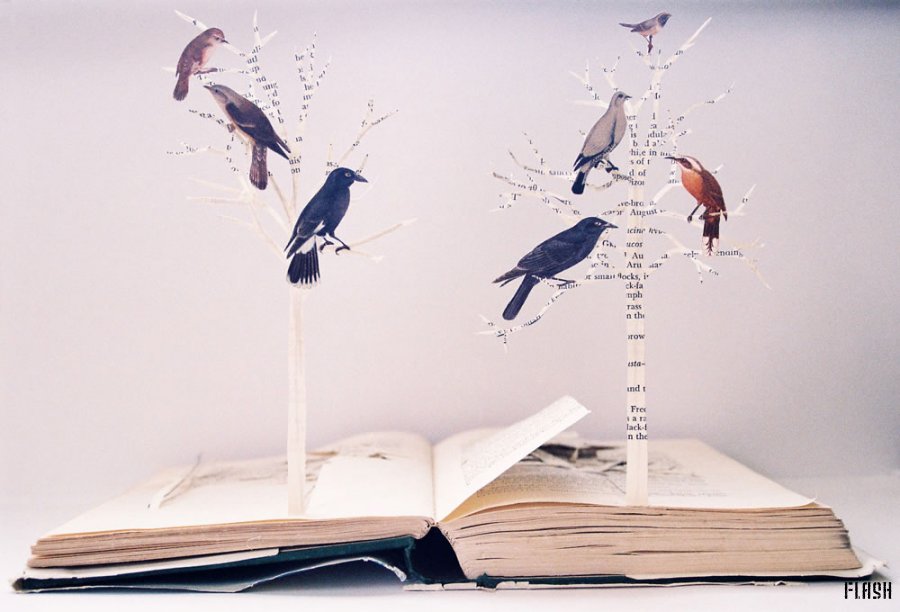 Поделки из старых книг и журналов Поделки из старых книг и журналов